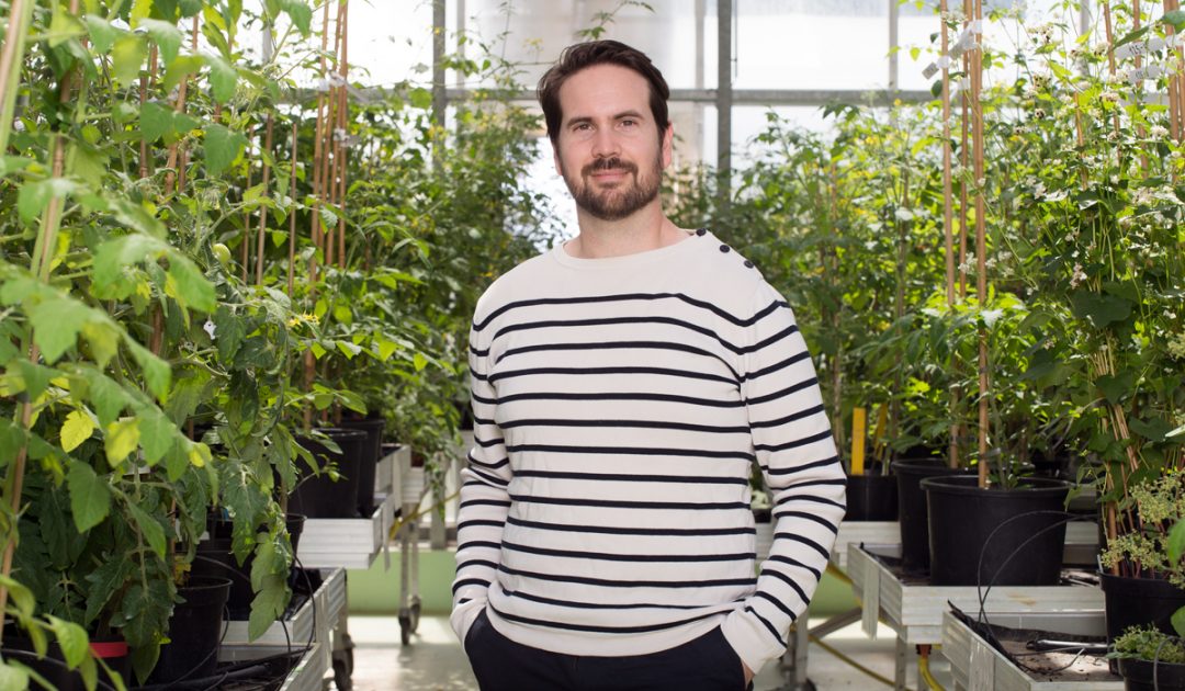 Anthony Guihur devant une rangée de plantes.